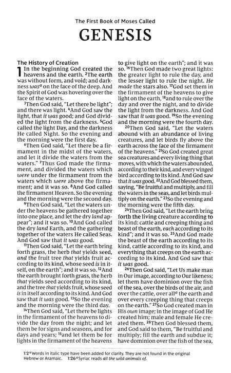 NKJV Bible for Kids Brown Leathersoft