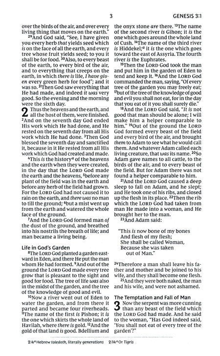 NKJV Bible for Kids Brown Leathersoft