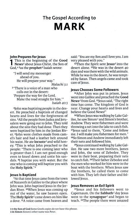 ICB International Children's Bible Purple Leathersoft