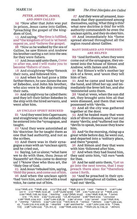 KJV Personal Size Reference Bible Purple Leathersoft, Sovereign Edition