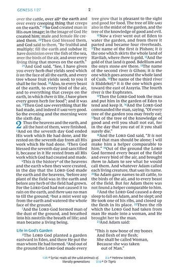 NKJV Compact Verse-by-Verse Ref Brown