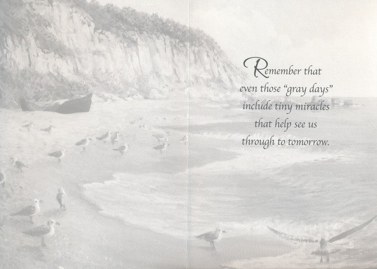 Boxed Cards All Occasion Value - Shoreline Greetings