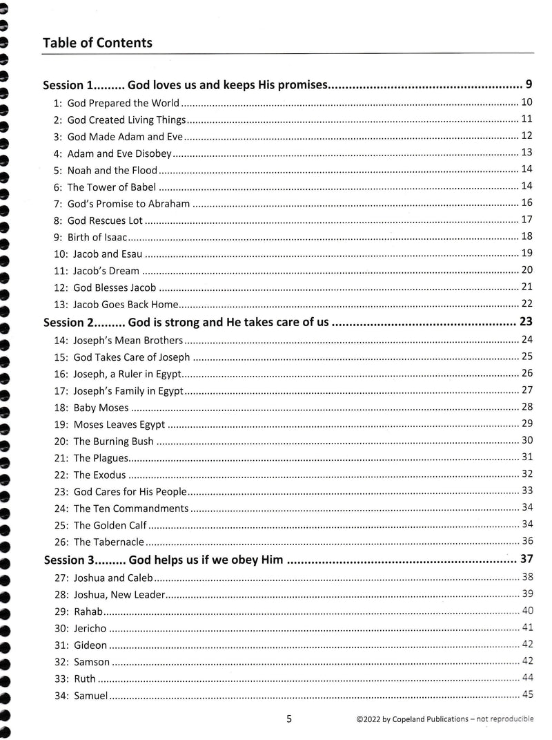 God's Big Plan: Through the Bible with Preschoolers Lesson Book