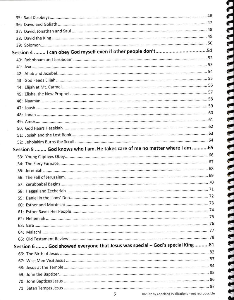 God's Big Plan: Through the Bible with Preschoolers Lesson Book