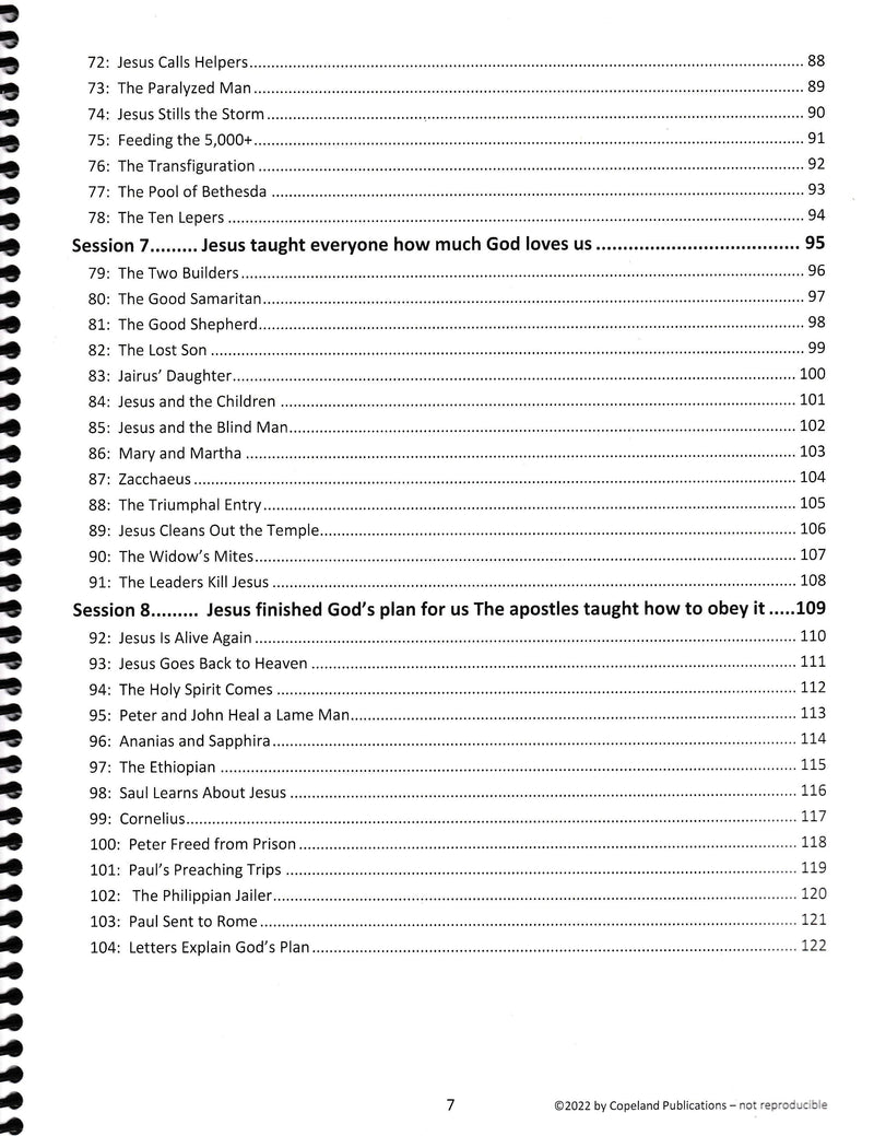 God's Big Plan: Through the Bible with Preschoolers Lesson Book