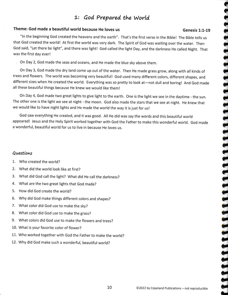 God's Big Plan: Through the Bible with Preschoolers Lesson Book