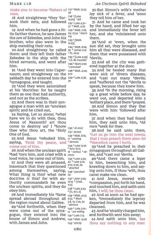 KJV Large Print Center Column Reference Bible Brown Leathersoft Indexed (op-a)