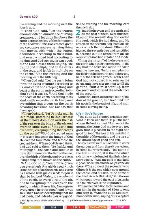 NKJV Color Code Bible for Kids Pink Leathersoft