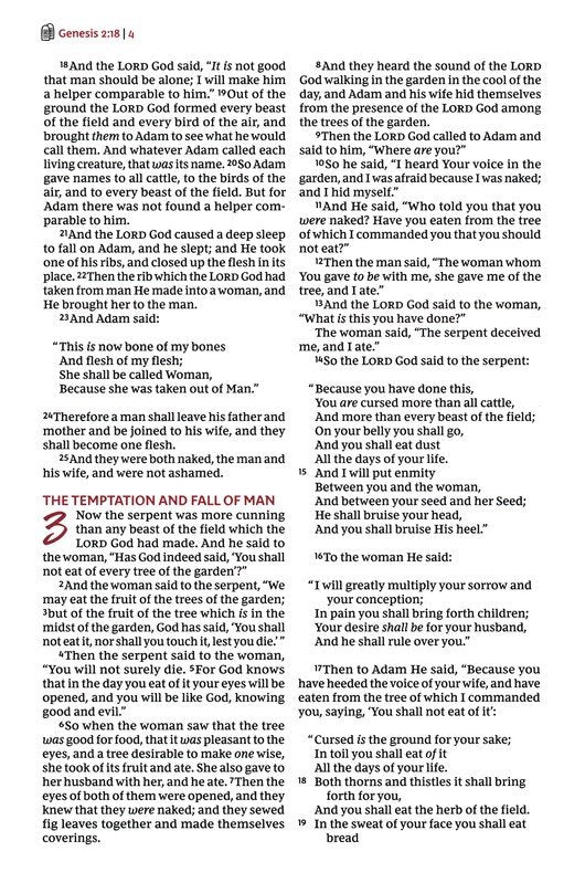 NKJV Sketchbook Bible Brown Leathersoft