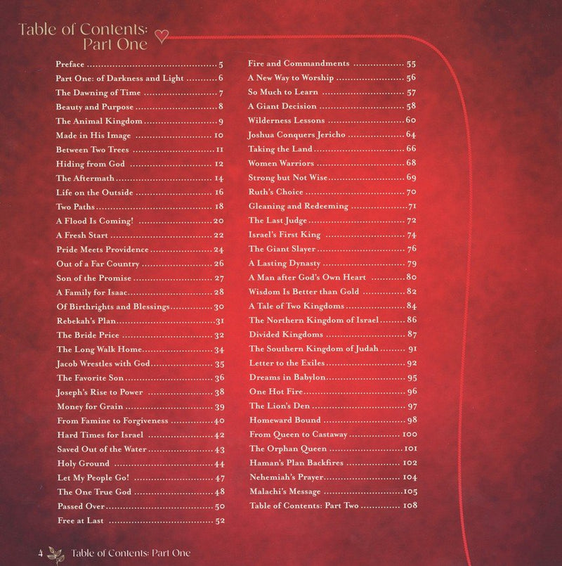 God's Story (Story Bible): From the Beginning to the Promised Return