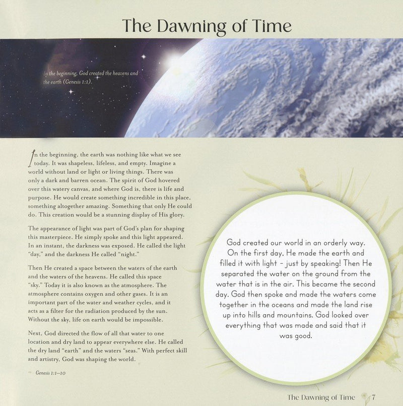 God's Story (Story Bible): From the Beginning to the Promised Return