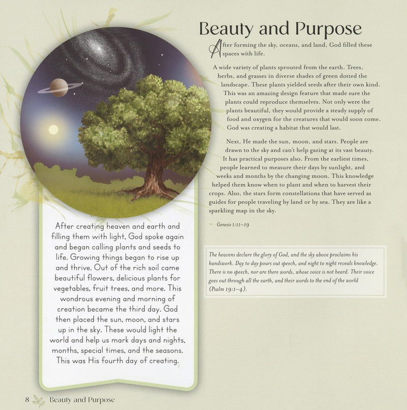 God's Story (Story Bible): From the Beginning to the Promised Return