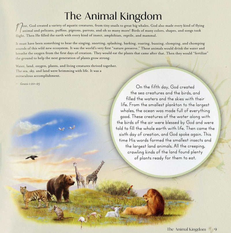 God's Story (Story Bible): From the Beginning to the Promised Return