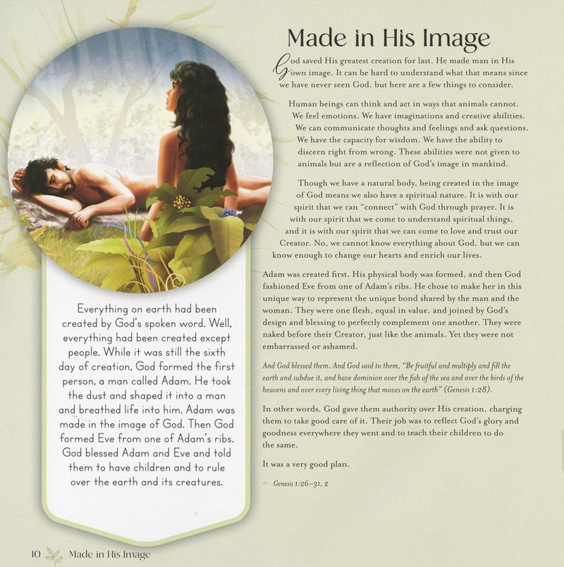 God's Story (Story Bible): From the Beginning to the Promised Return