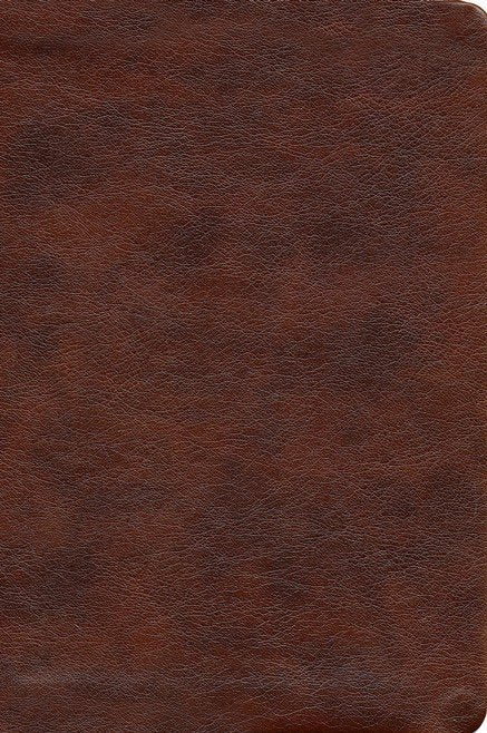 NASB 2020 Large Print Compact Bible Brown Leathertex