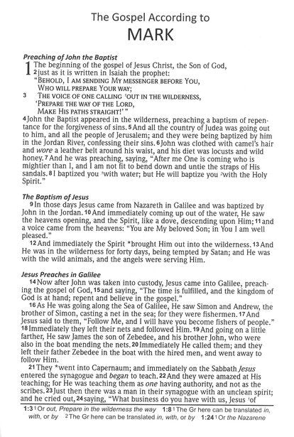 NASB 2020 Large Print Compact Bible Brown Leathertex