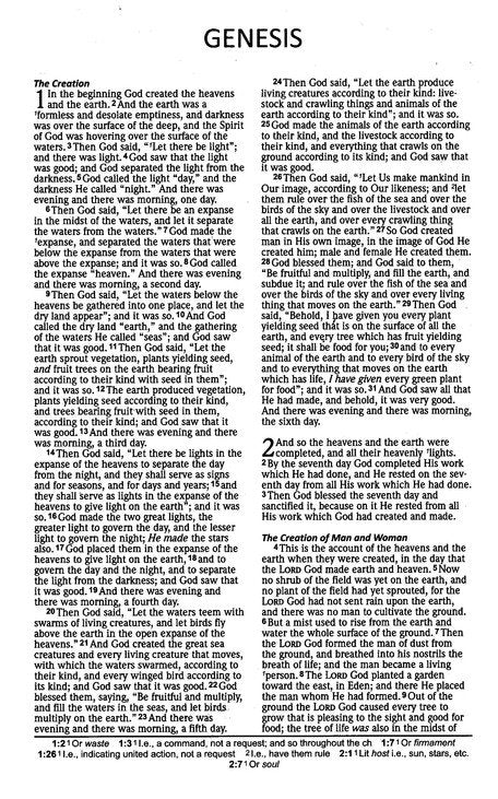 NASB 2020 Ultrathin text Bible Brown Imitation (Gift & Award Bible)