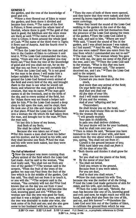 NASB 2020 Ultrathin text Bible Brown Imitation (Gift & Award Bible)