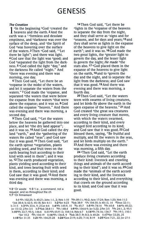 NASB 2020 Reference Bible, Brown LeatherTex