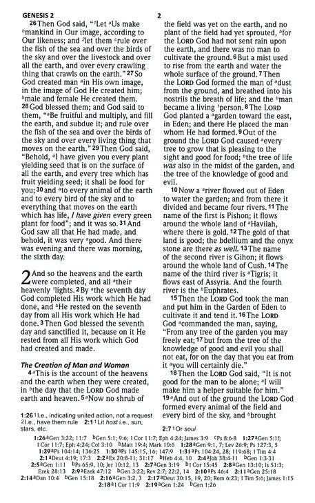 NASB 2020 Reference Bible, Brown LeatherTex