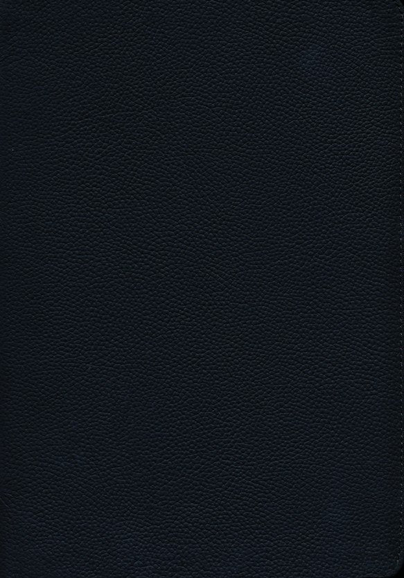 ESV Single Column Journaling Bible, Large Print, Deep Brown Buffalo Leather