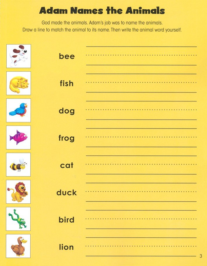 The Beginner's Bible Animals of the Bible Sticker & Activity Book