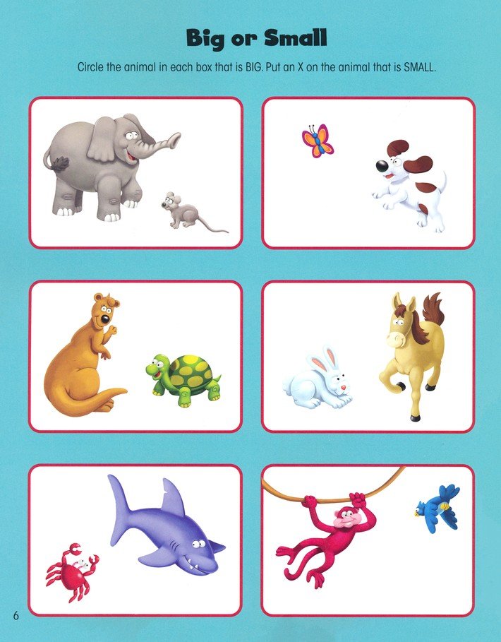 The Beginner's Bible Animals of the Bible Sticker & Activity Book