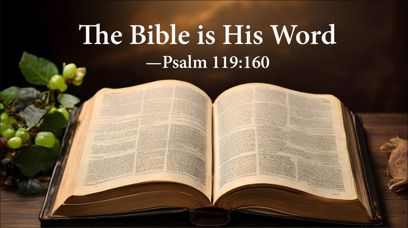 The Flood, Fossils and Faith: Exploring Genesis 1-11