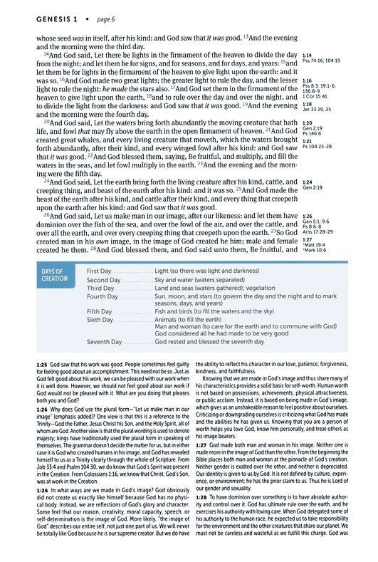 KJV Life Application Study Bible Brown/Mahogany Leatherlike Indexed