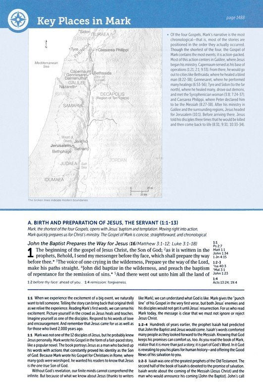 KJV Life Application Study Bible Lavender Peony Leatherlike Indexed