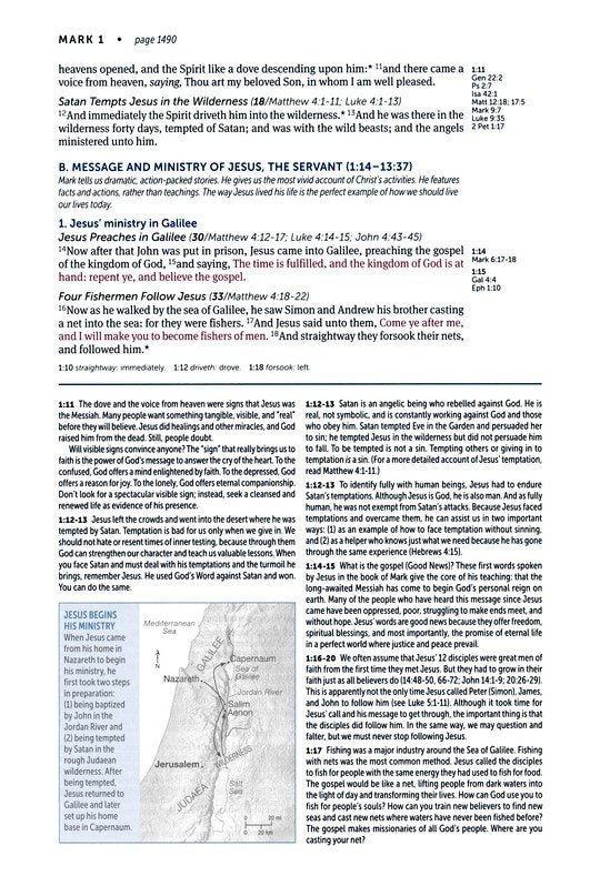 KJV Life Application Study Bible Lavender Peony Leatherlike Indexed