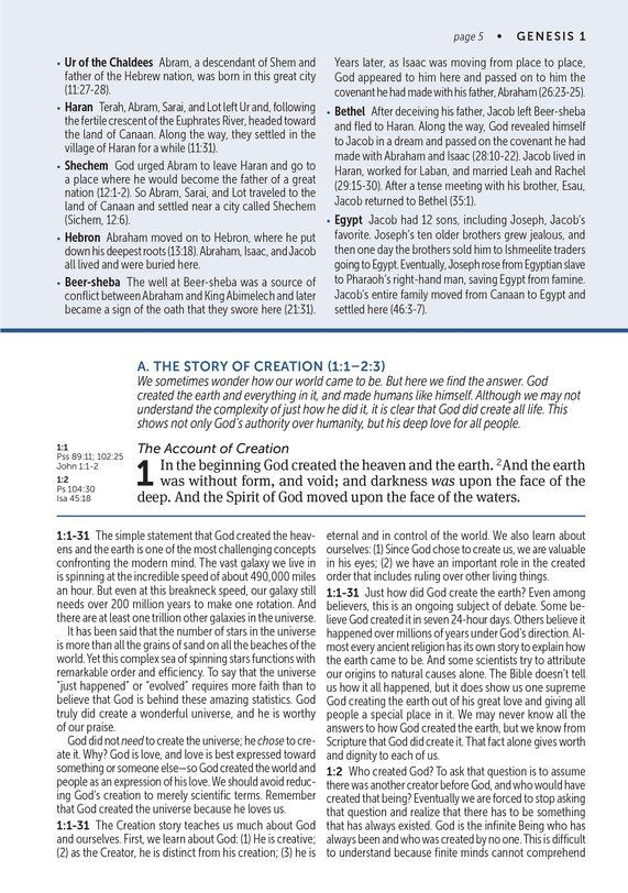 KJV Large Print Life Application Study Bible Purple Leatherlike