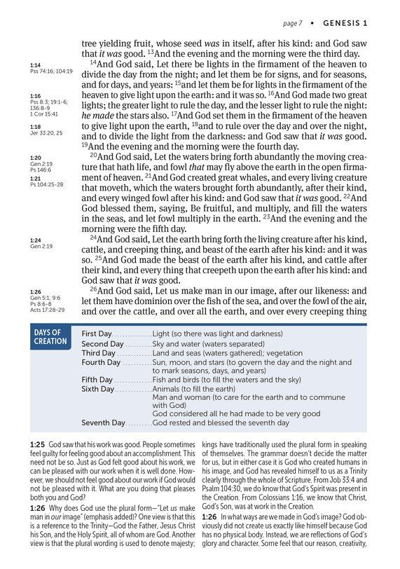 KJV Large Print Life Application Study Bible Purple Leatherlike