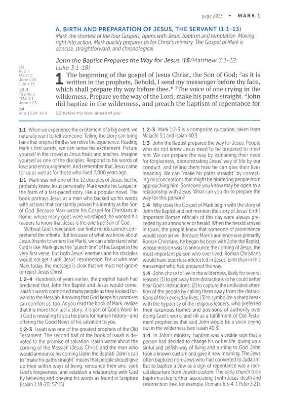 KJV Large Print Life Application Study Bible Purple Leatherlike