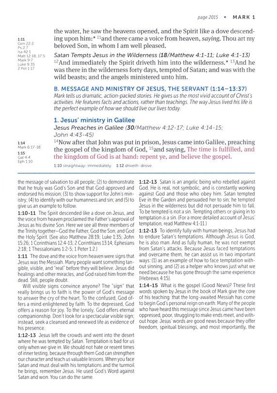 KJV Large Print Life Application Study Bible Purple Leatherlike