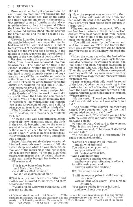 NIV Outreach Bible Student Edition