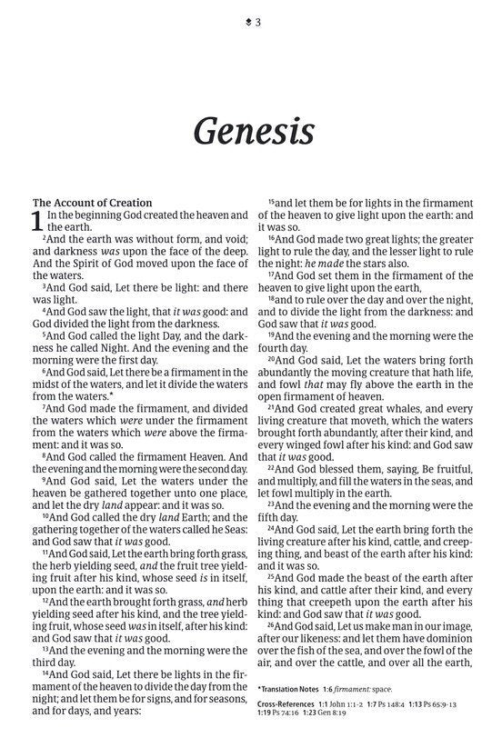 KJV Thinline Large Print Reference Bible Brown/Mahagony Leather-look Indexed