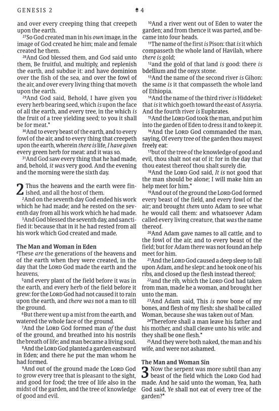 KJV Thinline Large Print Reference Bible Brown/Mahagony Leather-look Indexed