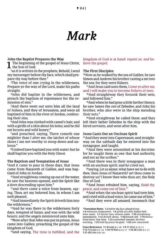 KJV Thinline Large Print Reference Bible Brown/Mahagony Leather-look Indexed