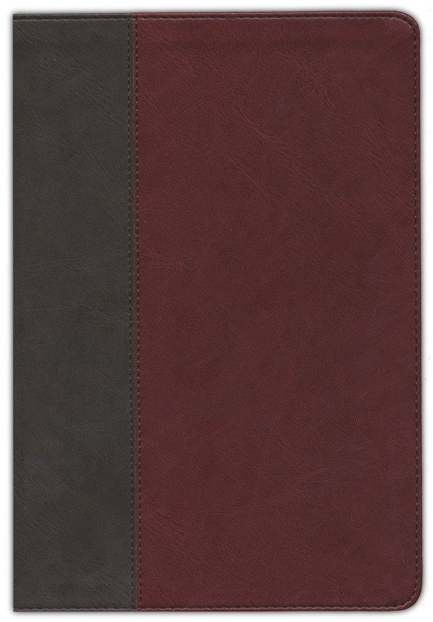 KJV Thinline Large Print Reference Bible Brown/Mahagony Leather-look Indexed