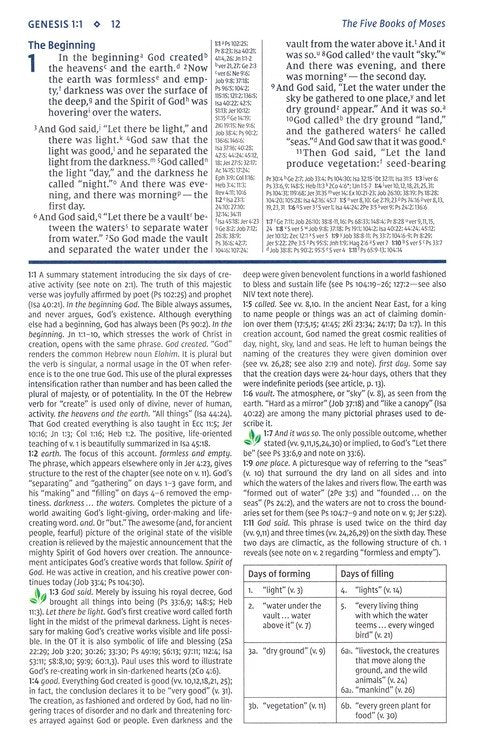 NIV Study Bible - Teal/Grey Leathersoft