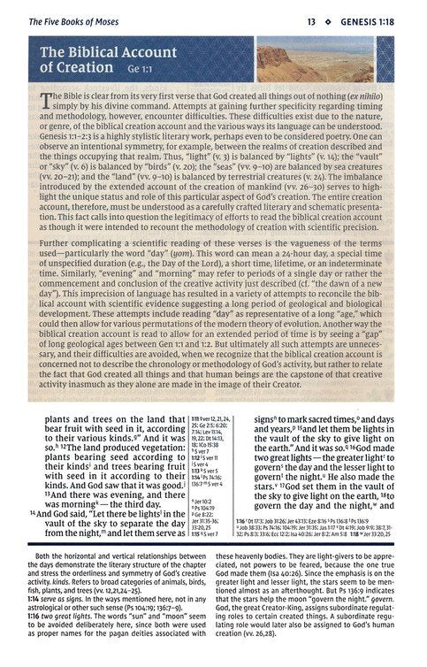 NIV Study Bible - Teal/Grey Leathersoft