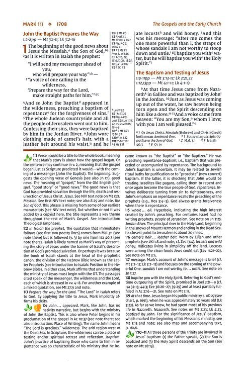 NIV Study Bible - Teal/Grey Leathersoft