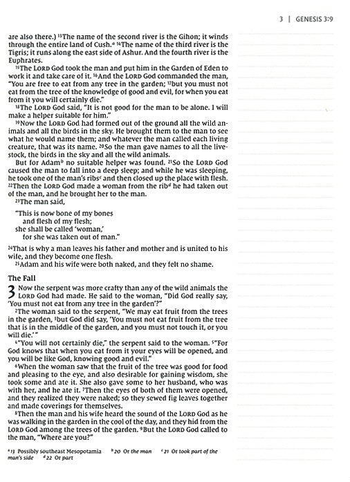 NIV Journal the Word Bible Teal Floral Leathersoft