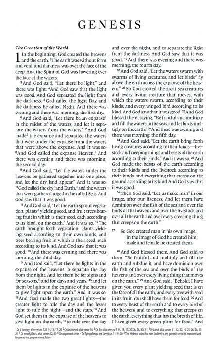 ESV Thinline Bible Deep Brown Buffalo Leather