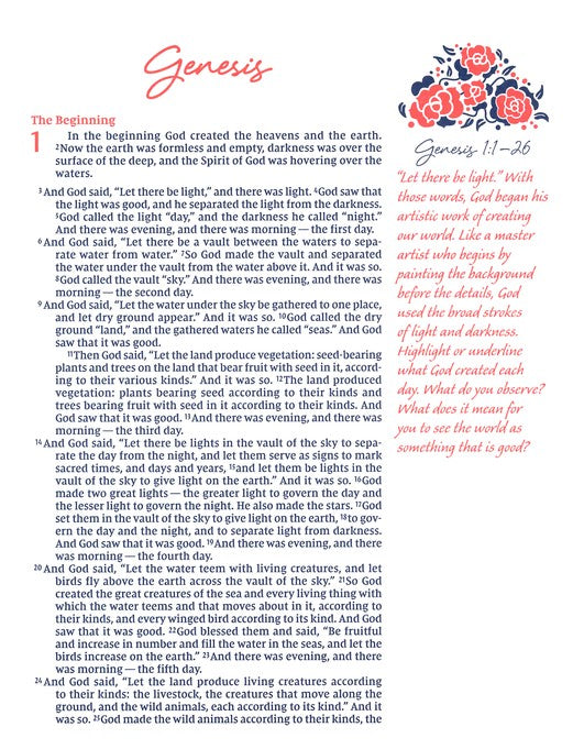 NIV Journal the Word Bible for Women Brown/Pink Leathersoft