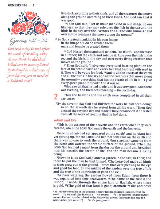 NIV Journal the Word Bible for Women Brown/Pink Leathersoft