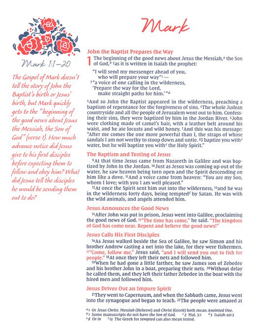 NIV Journal the Word Bible for Women Brown/Pink Leathersoft