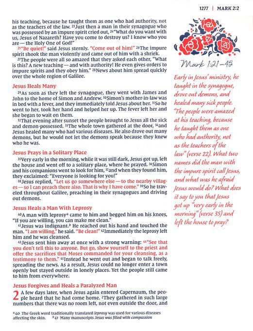 NIV Journal the Word Bible for Women Brown/Pink Leathersoft