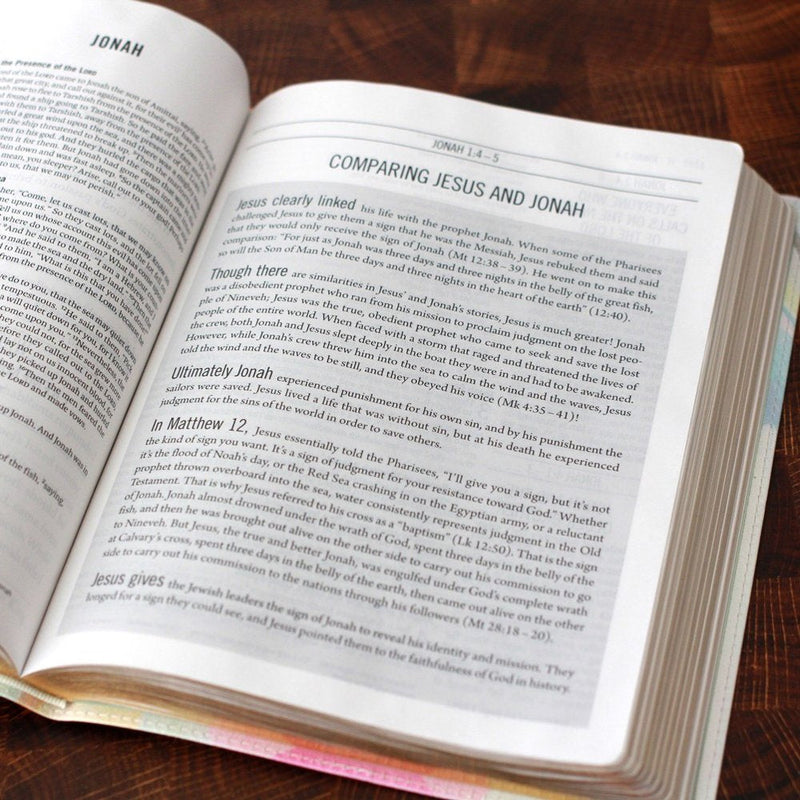 ESV The Jesus Bible Black Leathersoft (op)